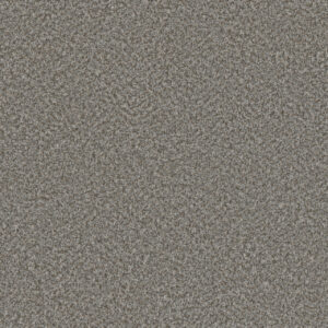 Dreamweaver Carpet Lucky Penny I Marcella Carpet 4047_4025