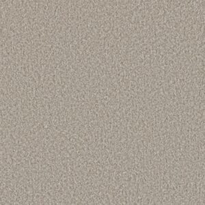 Dreamweaver Carpet Lucky Penny III Vera Cruz Carpet 4067_4196
