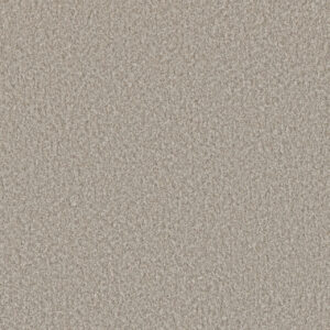 Dreamweaver Carpet Lucky Penny I Vera Cruz Carpet 4047_4196
