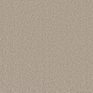 Dreamweaver Carpet Lucky Penny II Temple Carpet 4055_4277
