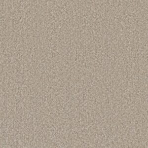 Dreamweaver Carpet Lucky Penny III Temple Carpet 4067_4277