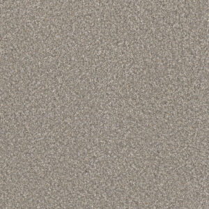 Dreamweaver Carpet Lucky Penny II Breakaway Carpet 4055_4315