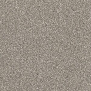 Dreamweaver Carpet Lucky Penny III Breakaway Carpet 4067_4315