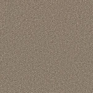 Dreamweaver Carpet Lucky Penny III Woodland Carpet 4067_4506