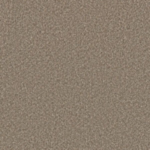 Dreamweaver Carpet Lucky Penny I Woodland Carpet 4047_4506