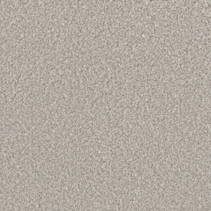 Dreamweaver Carpet Lucky Penny II Kenbrook Carpet 4055_4765