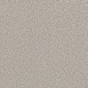 Dreamweaver Carpet Lucky Penny III Kenbrook Carpet 4067_4765
