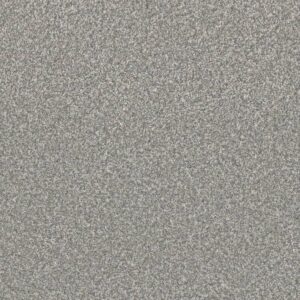 Dreamweaver Carpet Lucky Penny III Niagara Carpet 4067_4827