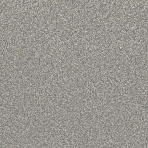 Dreamweaver Carpet Lucky Penny I Niagara Carpet 4047_4827