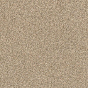 Dreamweaver Carpet Lucky Penny II Pine Cone Carpet 4055_4878