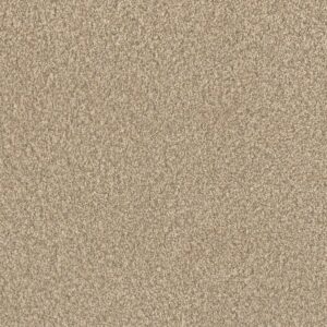 Dreamweaver Carpet Lucky Penny III Pine Cone Carpet 4067_4878