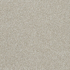 Dreamweaver Carpet Lucky Penny III Northlight Carpet 4067_4933