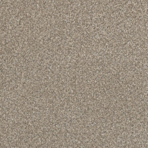 Dreamweaver Carpet Lucky Penny II Elite Carpet 4055_4998