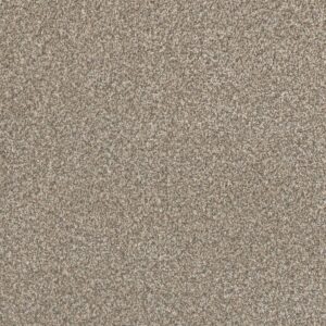 Dreamweaver Carpet Lucky Penny III Elite Carpet 4067_4998
