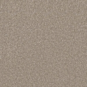 Dreamweaver Carpet Lucky Penny II Bliss Carpet 4055_5140