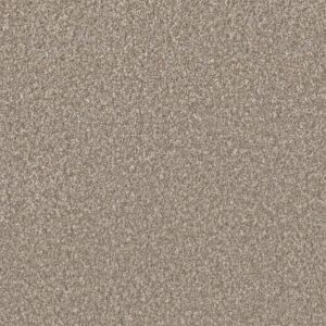 Dreamweaver Carpet Lucky Penny III Bliss Carpet 4067_5140