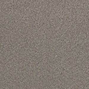 Dreamweaver Carpet Lucky Penny III Ventura Carpet 4067_5331