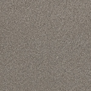 Dreamweaver Carpet Lucky Penny I Ventura Carpet 4047_5331