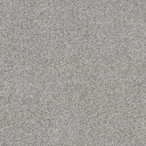 Dreamweaver Carpet Out of this World III Eclipse Carpet 4068_2341
