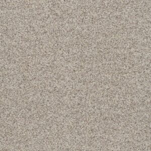 Dreamweaver Carpet Out of this World I Europa Carpet 4048_2431