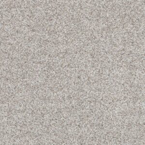 Dreamweaver Carpet Out of this World II Equinox Carpet 4058_2540
