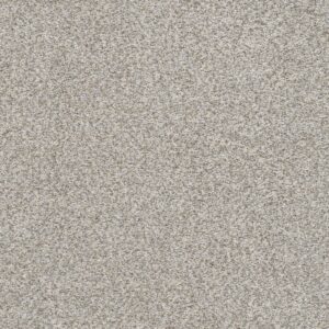 Dreamweaver Carpet Out of this World II Orbit Carpet 4058_2545
