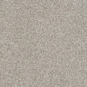 Dreamweaver Carpet Out of this World I Terrestrial Carpet 4048_2730