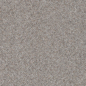 Dreamweaver Carpet Out of this World II Mercury Carpet 4058_2733