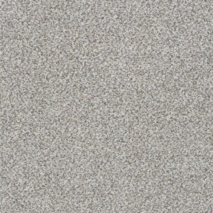 Dreamweaver Carpet Out of this World III Comet Carpet 4068_2735