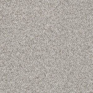 Dreamweaver Carpet Out of this World II Meteor Carpet 4058_2815