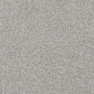 Dreamweaver Carpet Out of this World I Gemini Carpet 4048_2860
