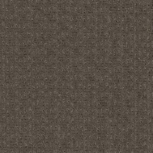 Dreamweaver Carpet Seafall Urbandale Carpet 4228_870