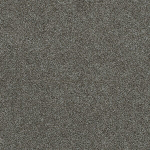 Dreamweaver Carpet Heaven Sent II Kelso Carpet 4275_4070