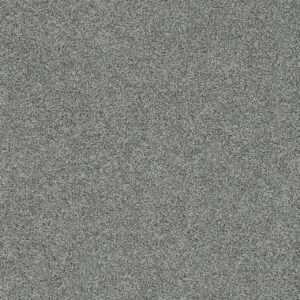 Dreamweaver Carpet Heaven Sent III North Star Carpet 4290_4075