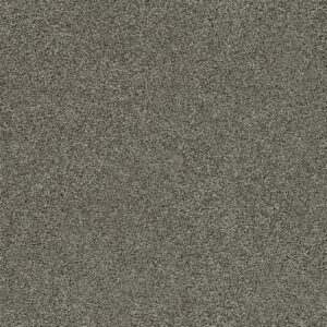 Dreamweaver Carpet Heaven Sent II Laguna Carpet 4275_5116