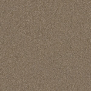 Dreamweaver Carpet Rock Solid III Fox Tail Carpet 4365_768