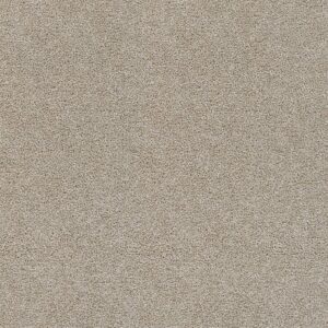 Dreamweaver Carpet Rock Solid I Beach Sand Carpet 4345_719