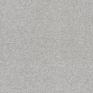 Dreamweaver Carpet Rock Solid III Morning Dove Carpet 4365_813