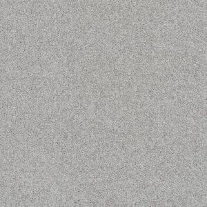 Dreamweaver Carpet Rock Solid II Icicle Carpet 4355_910