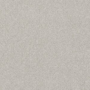 Dreamweaver Carpet Rock Solid II Andes Carpet 4355_924