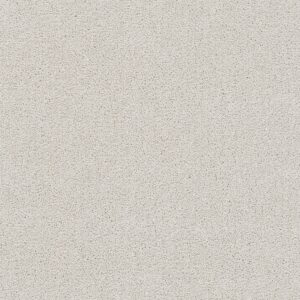 Dreamweaver Carpet Rock Solid II Snowbird Carpet 4355_944