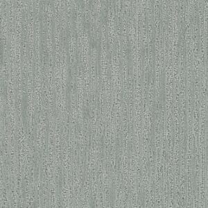 Dreamweaver Carpet Darlington Absolute Carpet 4428_2083