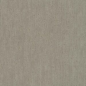 Dreamweaver Carpet Darlington Neutral Carpet 4428_2352