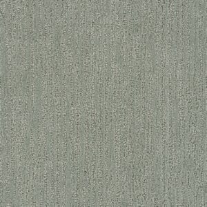 Dreamweaver Carpet Darlington Kiwi Cove Carpet 4428_4662