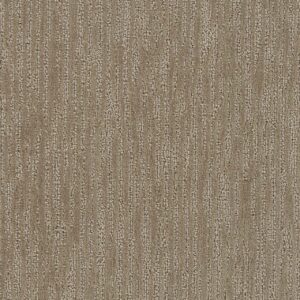 Dreamweaver Carpet Darlington Sand Key Carpet 4428_736