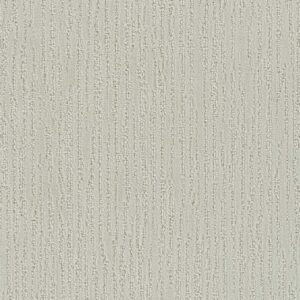 Dreamweaver Carpet Darlington Snowbird Carpet 4428_944