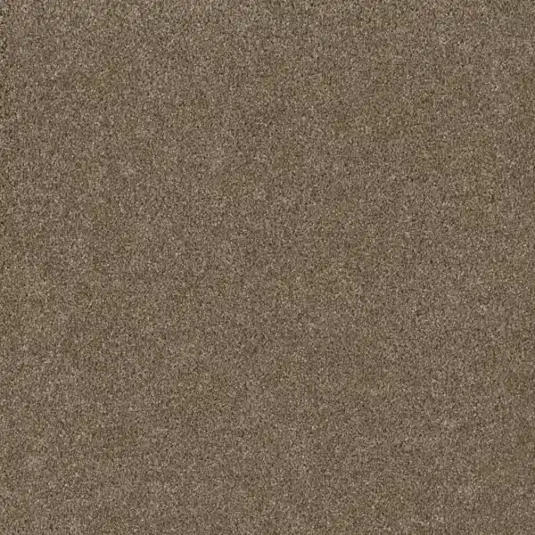 Dreamweaver Carpet Stunning Acorn Carpet 4765_858