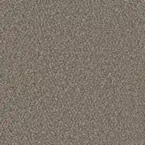Dreamweaver Carpet Windy City II Autumn Glow Carpet 4935_6030