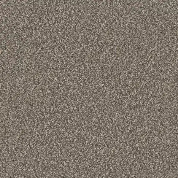Dreamweaver Carpet Windy City II Autumn Glow Carpet 4935_6030