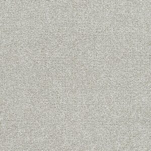 Dreamweaver Carpet Breakview II Ocean Mist Carpet 4950_2713